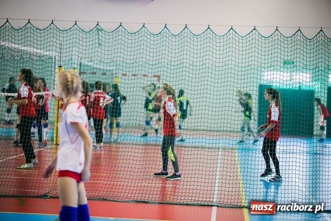 Zdjęcie w galerii na portalu naszraciborz.pl: Turniej w piłce siatkowej młodziczek w Krzanowicach wiadomości z regionu
