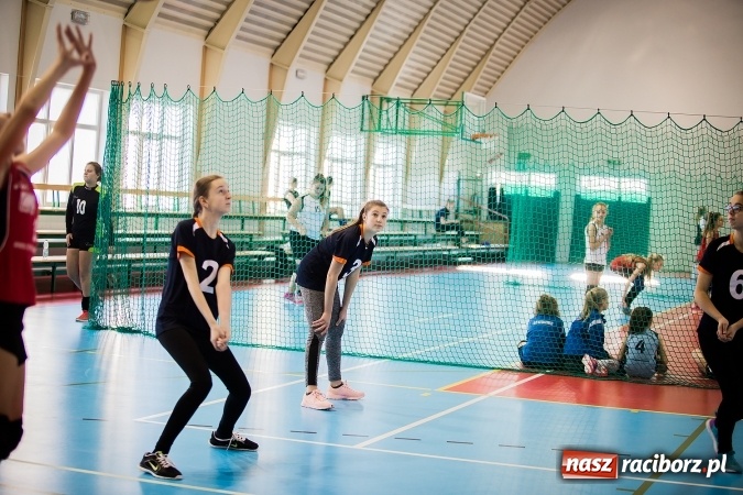 Zdjęcie w galerii na portalu naszraciborz.pl: Turniej w piłce siatkowej młodziczek w Krzanowicach wiadomości z regionu