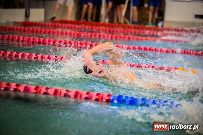 Zdjęcie w galerii na portalu naszraciborz.pl: Ze Śląska na Olimpijskie Areny - młodzi pływacy rywalizowali na pływalni SMS-u  wiadomości z regionu
