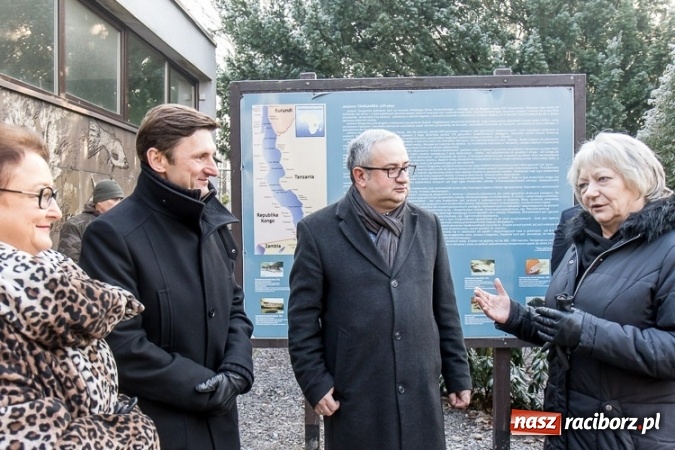 Zdjęcie w galerii na portalu naszraciborz.pl: Dwa nowe zbiorniki w Akwarium w Śląskim Ogrodzie Zoologicznym zostały oddane dla zwiedzających wiadomości z regionu