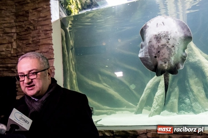 Zdjęcie w galerii na portalu naszraciborz.pl: Dwa nowe zbiorniki w Akwarium w Śląskim Ogrodzie Zoologicznym zostały oddane dla zwiedzających wiadomości z regionu