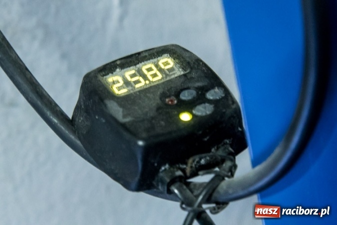 Zdjęcie w galerii na portalu naszraciborz.pl: Dwa nowe zbiorniki w Akwarium w Śląskim Ogrodzie Zoologicznym zostały oddane dla zwiedzających wiadomości z regionu