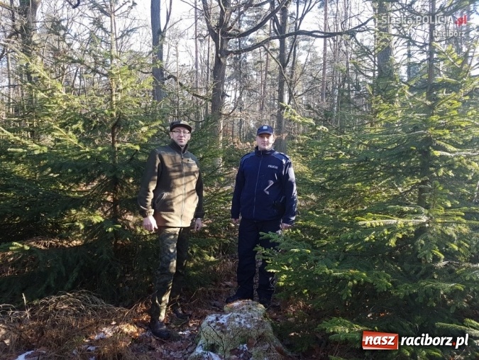 Zdjęcie w galerii na portalu naszraciborz.pl: Kryptonim Choinka. Policjanci i strażnicy leśni polowali na złodziei  wiadomości z regionu