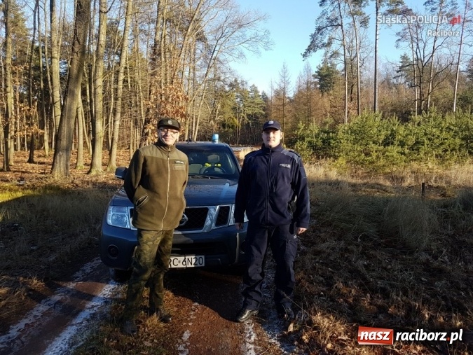 Zdjęcie w galerii na portalu naszraciborz.pl: Kryptonim Choinka. Policjanci i strażnicy leśni polowali na złodziei  wiadomości z regionu