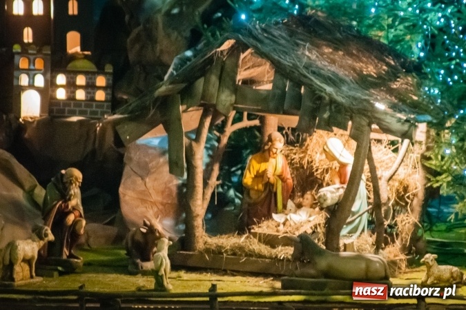 Zdjęcie w galerii na portalu naszraciborz.pl: Przepiękne raciborskie szopki AD 2016  wiadomości z regionu