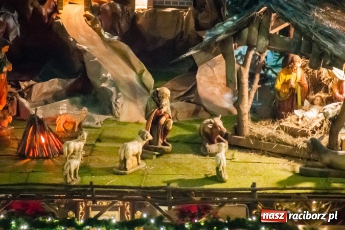 Zdjęcie w galerii na portalu naszraciborz.pl: Przepiękne raciborskie szopki AD 2016  wiadomości z regionu