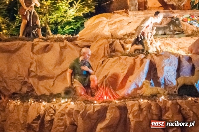 Zdjęcie w galerii na portalu naszraciborz.pl: Przepiękne raciborskie szopki AD 2016  wiadomości z regionu