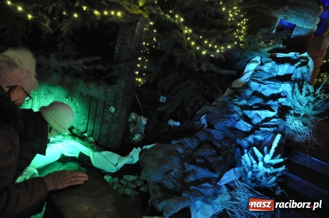 Zdjęcie w galerii na portalu naszraciborz.pl: Przepiękne raciborskie szopki AD 2016  wiadomości z regionu