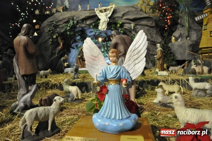Zdjęcie w galerii na portalu naszraciborz.pl: Przepiękne raciborskie szopki AD 2016  wiadomości z regionu