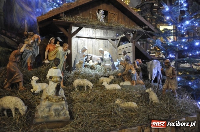 Zdjęcie w galerii na portalu naszraciborz.pl: Przepiękne raciborskie szopki AD 2016  wiadomości z regionu