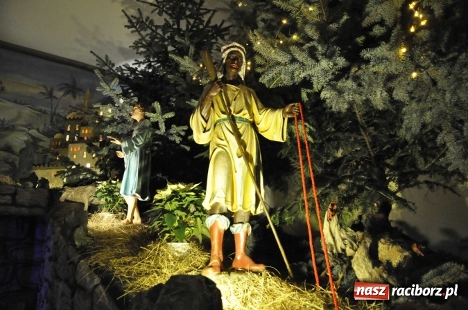 Zdjęcie w galerii na portalu naszraciborz.pl: Przepiękne raciborskie szopki AD 2016  wiadomości z regionu