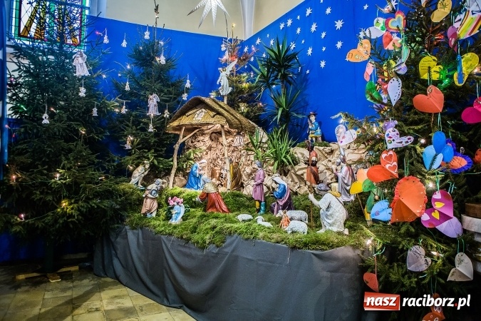 Zdjęcie w galerii na portalu naszraciborz.pl: Przepiękne raciborskie szopki AD 2016  wiadomości z regionu