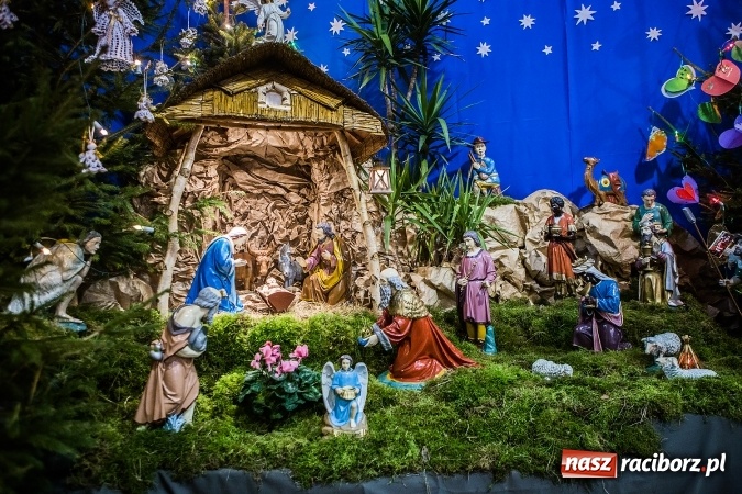 Zdjęcie w galerii na portalu naszraciborz.pl: Przepiękne raciborskie szopki AD 2016  wiadomości z regionu