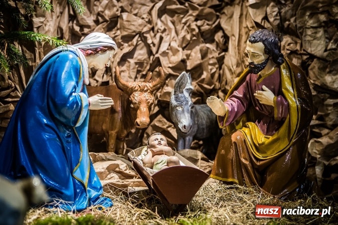 Zdjęcie w galerii na portalu naszraciborz.pl: Przepiękne raciborskie szopki AD 2016  wiadomości z regionu