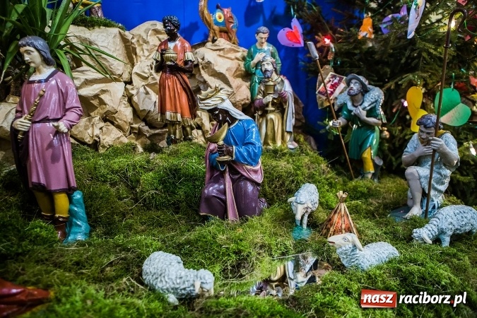 Zdjęcie w galerii na portalu naszraciborz.pl: Przepiękne raciborskie szopki AD 2016  wiadomości z regionu