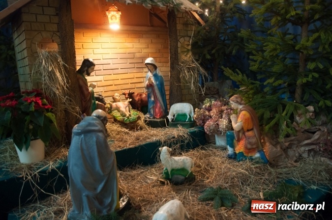 Zdjęcie w galerii na portalu naszraciborz.pl: Przepiękne raciborskie szopki AD 2016  wiadomości z regionu