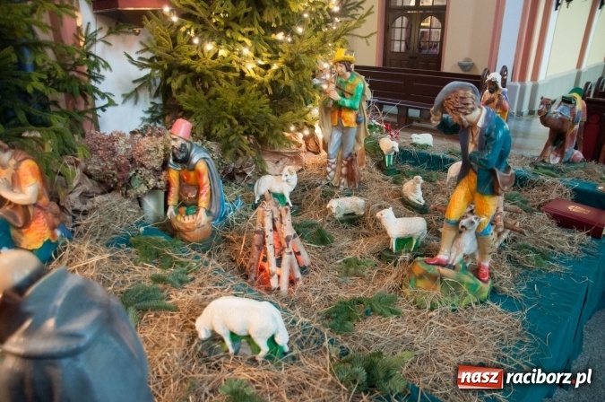 Zdjęcie w galerii na portalu naszraciborz.pl: Przepiękne raciborskie szopki AD 2016  wiadomości z regionu