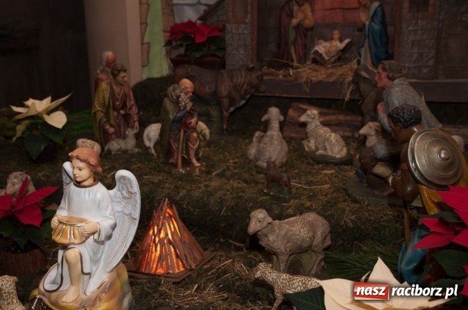 Zdjęcie w galerii na portalu naszraciborz.pl: Przepiękne raciborskie szopki AD 2016  wiadomości z regionu