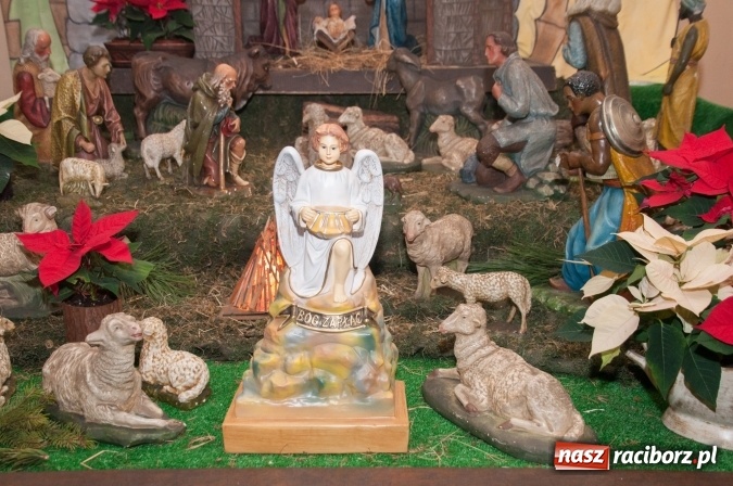 Zdjęcie w galerii na portalu naszraciborz.pl: Przepiękne raciborskie szopki AD 2016  wiadomości z regionu