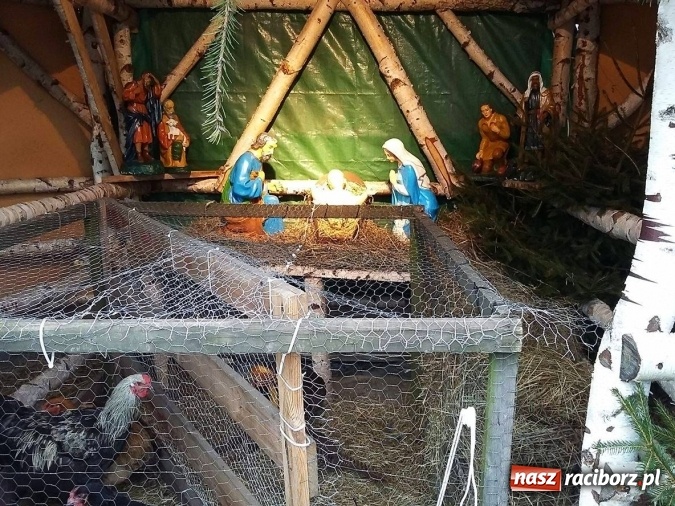 Zdjęcie w galerii na portalu naszraciborz.pl: Przepiękne raciborskie szopki AD 2016  wiadomości z regionu