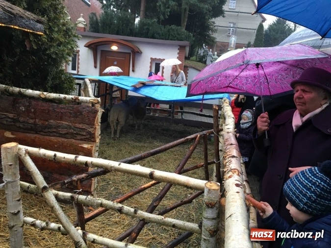 Zdjęcie w galerii na portalu naszraciborz.pl: Tak Jezus przyszedł na świat - żywa szopka w Brzeziu wiadomości z regionu