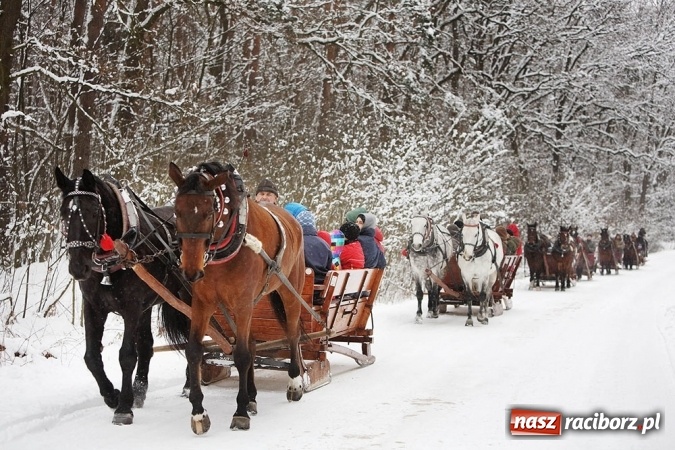 Zdjęcie w galerii na portalu naszraciborz.pl: Urządzasz firmowe Spotkanie Noworoczne? Zabierz swoich gości na kulig w Beskidy! wiadomości z regionu