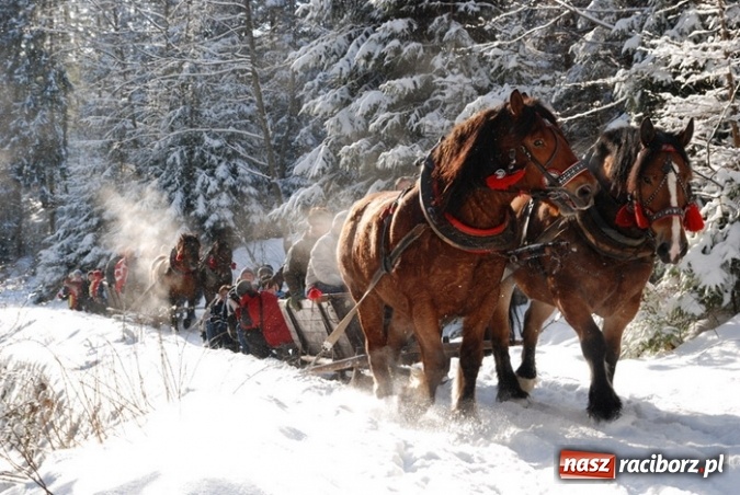 Zdjęcie w galerii na portalu naszraciborz.pl: Urządzasz firmowe Spotkanie Noworoczne? Zabierz swoich gości na kulig w Beskidy! wiadomości z regionu