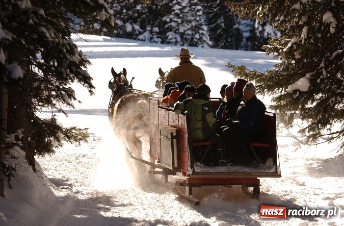 Zdjęcie w galerii na portalu naszraciborz.pl: Urządzasz firmowe Spotkanie Noworoczne? Zabierz swoich gości na kulig w Beskidy! wiadomości z regionu