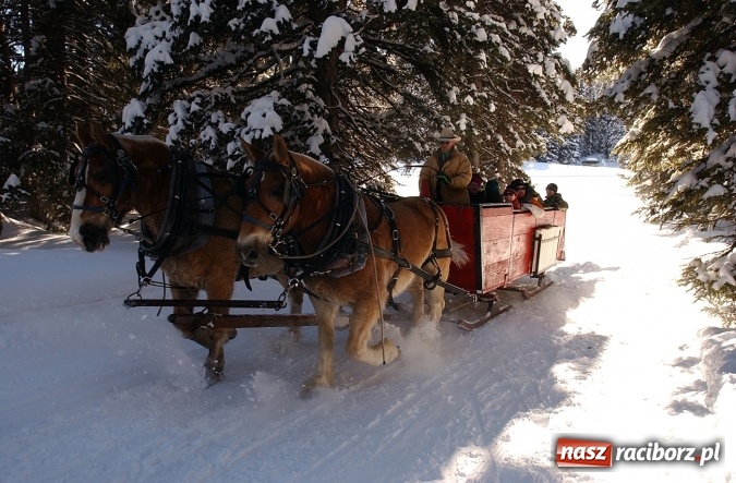 Zdjęcie w galerii na portalu naszraciborz.pl: Urządzasz firmowe Spotkanie Noworoczne? Zabierz swoich gości na kulig w Beskidy! wiadomości z regionu