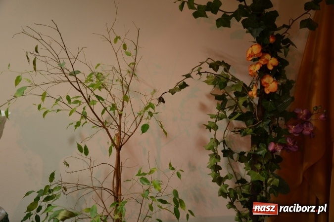 Zdjęcie w galerii na portalu naszraciborz.pl: Grecki raj - program rozrywkowy na Zamku Piastowskim  wiadomości z regionu