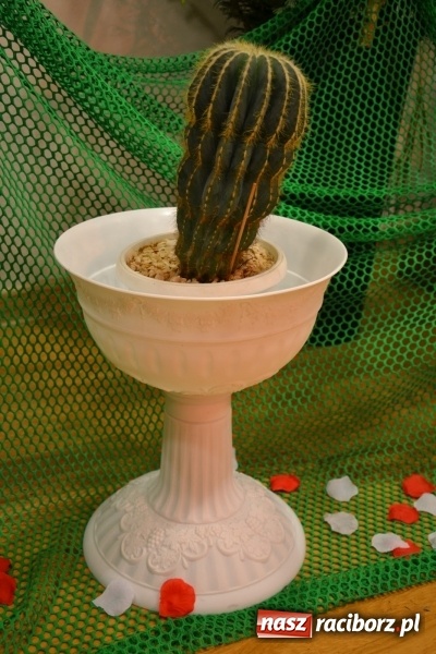 Zdjęcie w galerii na portalu naszraciborz.pl: Grecki raj - program rozrywkowy na Zamku Piastowskim  wiadomości z regionu