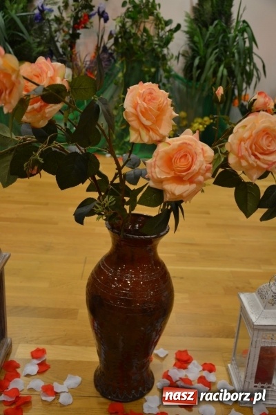 Zdjęcie w galerii na portalu naszraciborz.pl: Grecki raj - program rozrywkowy na Zamku Piastowskim  wiadomości z regionu