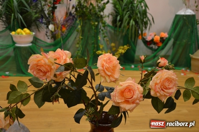 Zdjęcie w galerii na portalu naszraciborz.pl: Grecki raj - program rozrywkowy na Zamku Piastowskim  wiadomości z regionu