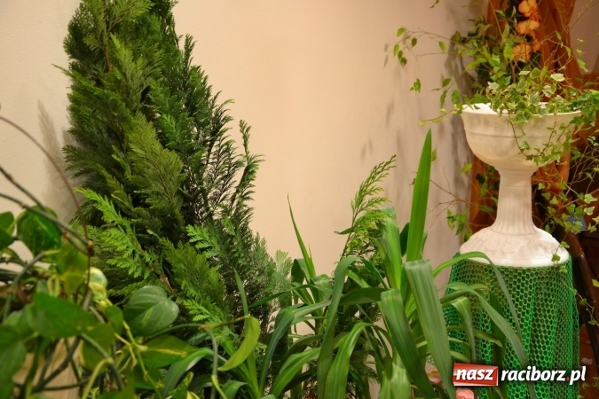 Zdjęcie w galerii na portalu naszraciborz.pl: Grecki raj - program rozrywkowy na Zamku Piastowskim  wiadomości z regionu