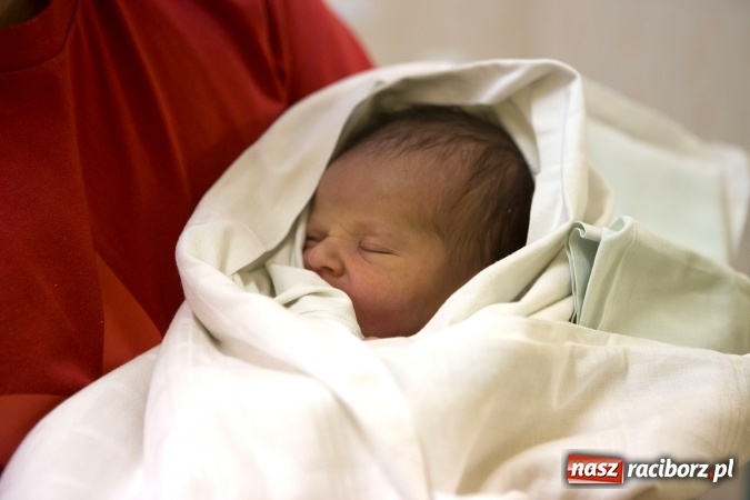 Zdjęcie w galerii na portalu naszraciborz.pl: Karolek z Owsiszcz pierwszym Ślązakiem w 2017 roku wiadomości z regionu