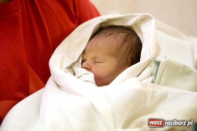 Zdjęcie w galerii na portalu naszraciborz.pl: Karolek z Owsiszcz pierwszym Ślązakiem w 2017 roku wiadomości z regionu