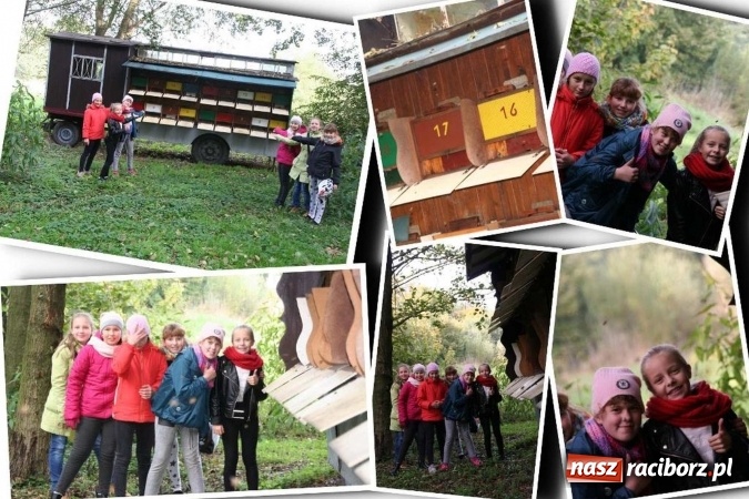 Zdjęcie w galerii na portalu naszraciborz.pl: Brawo dla ZSO Twork&oacute;w. Eco Team najlepszym zespołem przyrodniczym w Polsce wiadomości z regionu