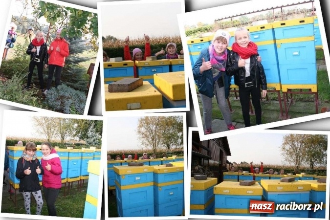 Zdjęcie w galerii na portalu naszraciborz.pl: Brawo dla ZSO Twork&oacute;w. Eco Team najlepszym zespołem przyrodniczym w Polsce wiadomości z regionu