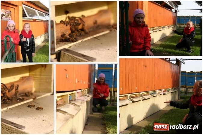 Zdjęcie w galerii na portalu naszraciborz.pl: Brawo dla ZSO Twork&oacute;w. Eco Team najlepszym zespołem przyrodniczym w Polsce wiadomości z regionu