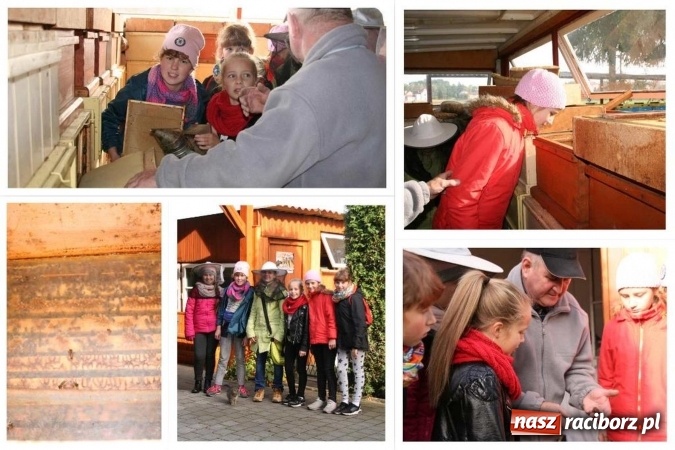 Zdjęcie w galerii na portalu naszraciborz.pl: Brawo dla ZSO Twork&oacute;w. Eco Team najlepszym zespołem przyrodniczym w Polsce wiadomości z regionu