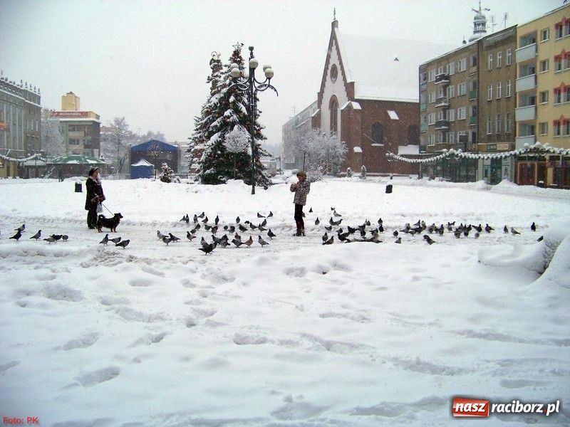Zdjęcie w galerii na portalu naszraciborz.pl: Oddaj krew podczas 18 finału WOŚP w niedzielę wiadomości z regionu