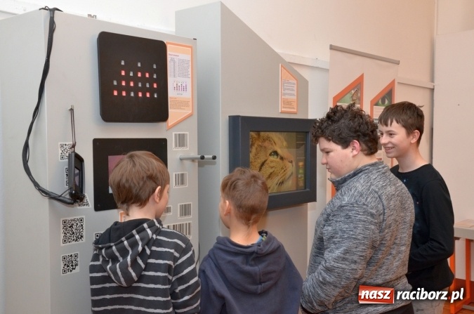 Zdjęcie w galerii na portalu naszraciborz.pl: Wszystko... jest liczbą - zobacz zdjęcia z otwarcia nowej wystawy w raciborskim Muzeum wiadomości z regionu