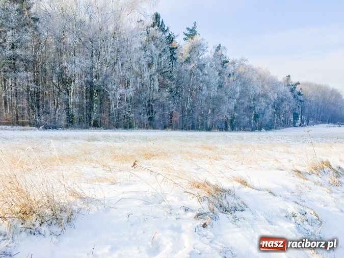Zdjęcie w galerii na portalu naszraciborz.pl: Dziś w nocy może być nawet 18 stopni mrozu! Uwaga na smog! Mroźna zima na zdjęciach wiadomości z regionu