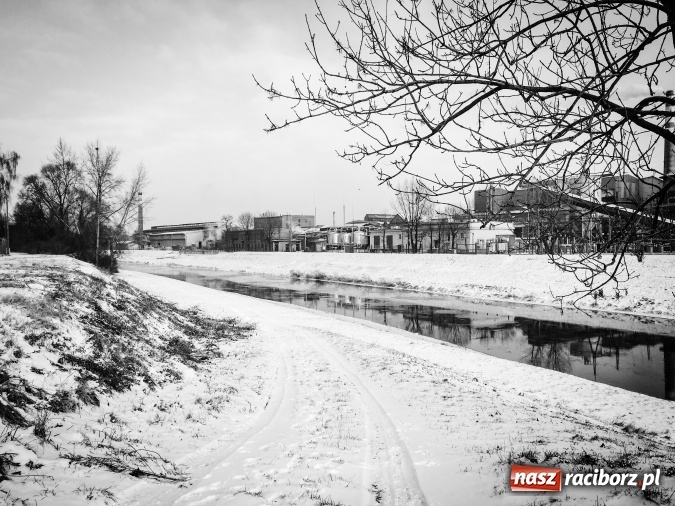 Zdjęcie w galerii na portalu naszraciborz.pl: Dziś w nocy może być nawet 18 stopni mrozu! Uwaga na smog! Mroźna zima na zdjęciach wiadomości z regionu