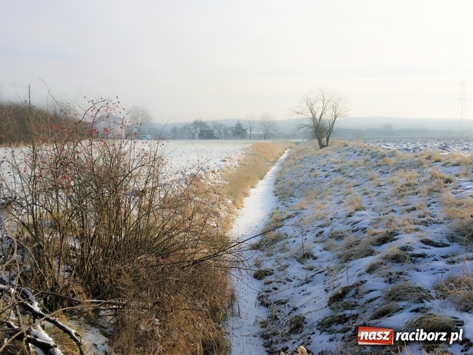 Zdjęcie w galerii na portalu naszraciborz.pl: Dziś w nocy może być nawet 18 stopni mrozu! Uwaga na smog! Mroźna zima na zdjęciach wiadomości z regionu