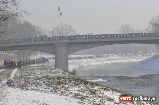 Zdjęcie w galerii na portalu naszraciborz.pl: III Bieg Nadodrzański. Mróz niestraszny biegaczom. Złoto dla Łukasza Skwareckiego  wiadomości z regionu