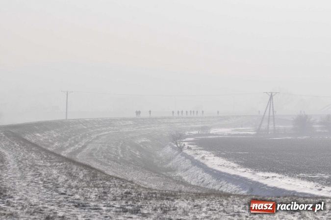 Zdjęcie w galerii na portalu naszraciborz.pl: III Bieg Nadodrzański. Mróz niestraszny biegaczom. Złoto dla Łukasza Skwareckiego  wiadomości z regionu