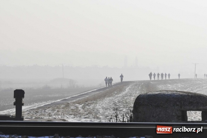 Zdjęcie w galerii na portalu naszraciborz.pl: III Bieg Nadodrzański. Mróz niestraszny biegaczom. Złoto dla Łukasza Skwareckiego  wiadomości z regionu