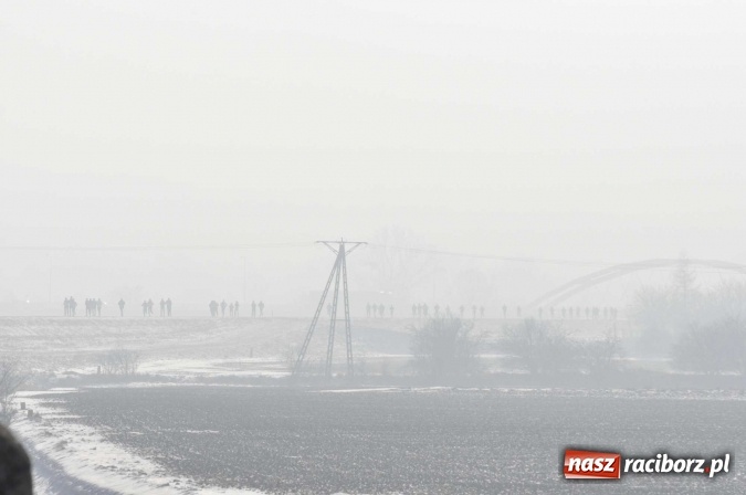 Zdjęcie w galerii na portalu naszraciborz.pl: III Bieg Nadodrzański. Mróz niestraszny biegaczom. Złoto dla Łukasza Skwareckiego  wiadomości z regionu