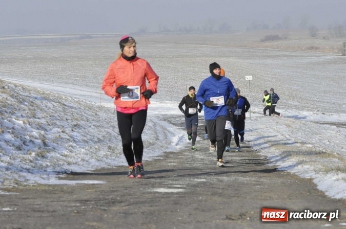 Zdjęcie w galerii na portalu naszraciborz.pl: III Bieg Nadodrzański. Mróz niestraszny biegaczom. Złoto dla Łukasza Skwareckiego  wiadomości z regionu